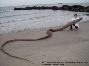 Dr Takeshi Yamada and fake sea serpent corpse 1
