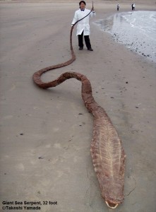 Dr_Takeshi_Yamada_and_fake_sea_serpent_corpse_2