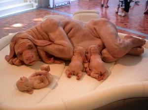 Human-dog hybrid sculpture