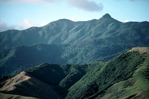 Mount Moehau, Coromandel Peninsula