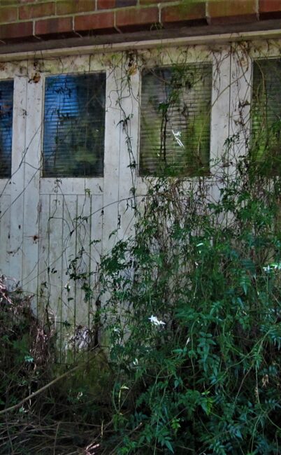 Paranormal NZ Case File: Rural property, Huntly – Waikato. [BizarreNZ Blog]