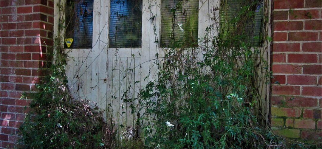Paranormal NZ Case File: Rural property, Huntly – Waikato. [BizarreNZ Blog]