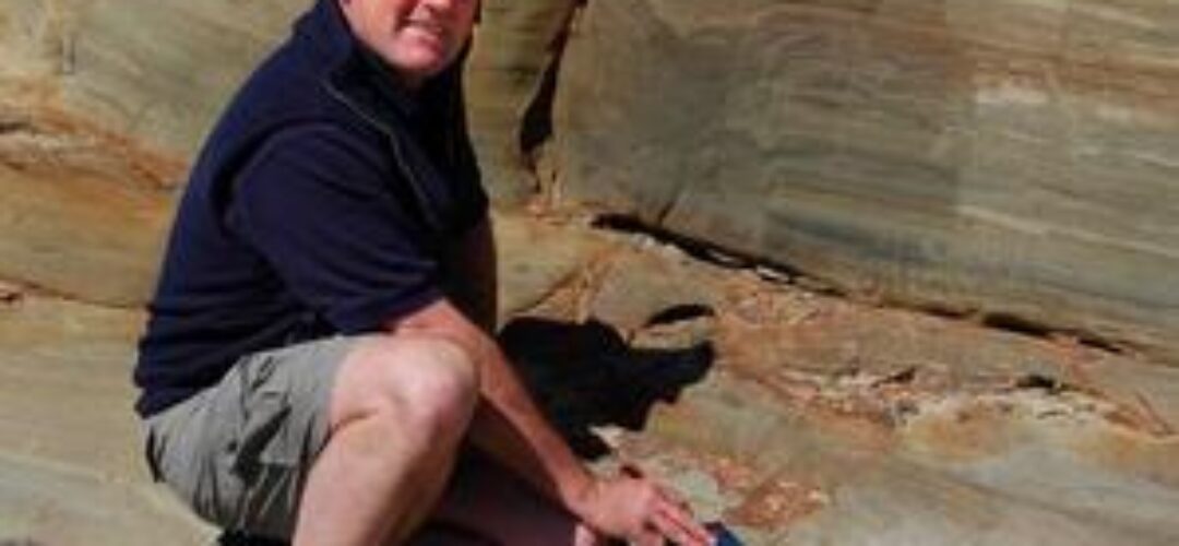 Dinosaur footprints in South Island revealed