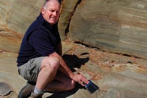 Dinosaur footprints in South Island revealed