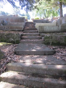 Park Island Cemetery – Napier