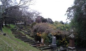 Northern Cemetery Dunedin
