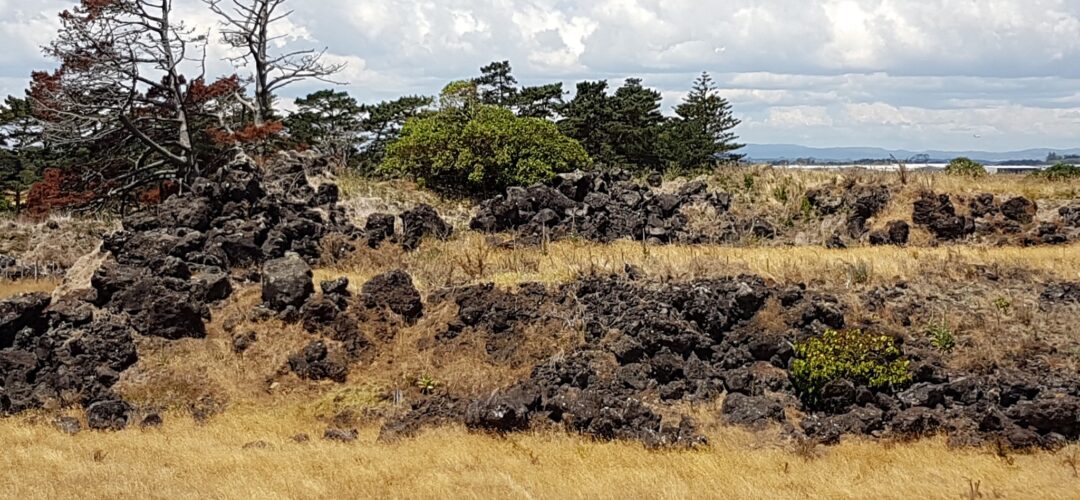 Otuataua Stonefields: 2nd research visit – Mangere, Auckland