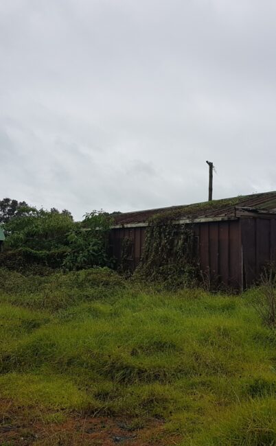 Rural rustic sheds