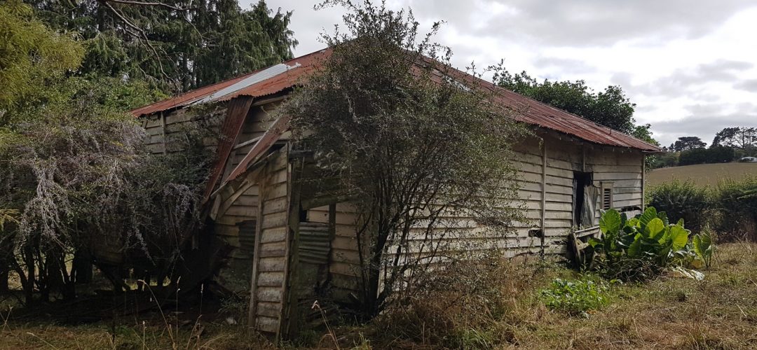 Rural Hideaway – South Auckland