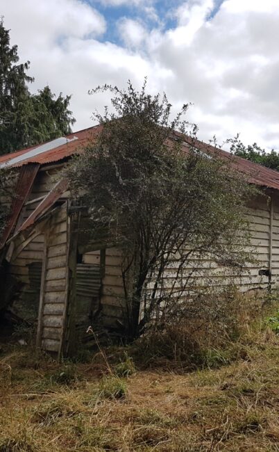 Rural Hideaway – South Auckland