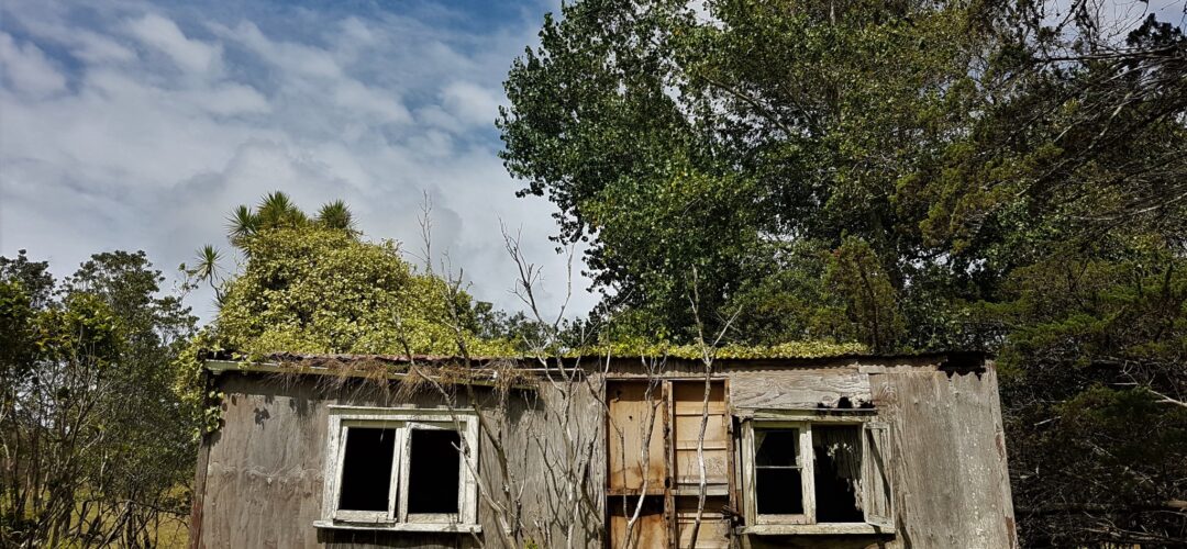 Rustic country living – Awhitu