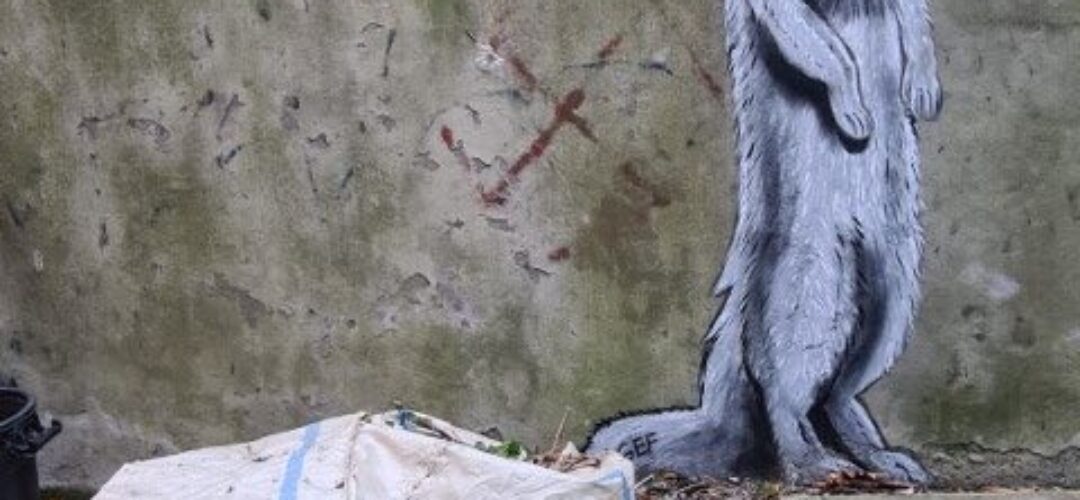 Gef The Talking Mongoose Grafitti Art by Bruce Mahalski – Dunedin