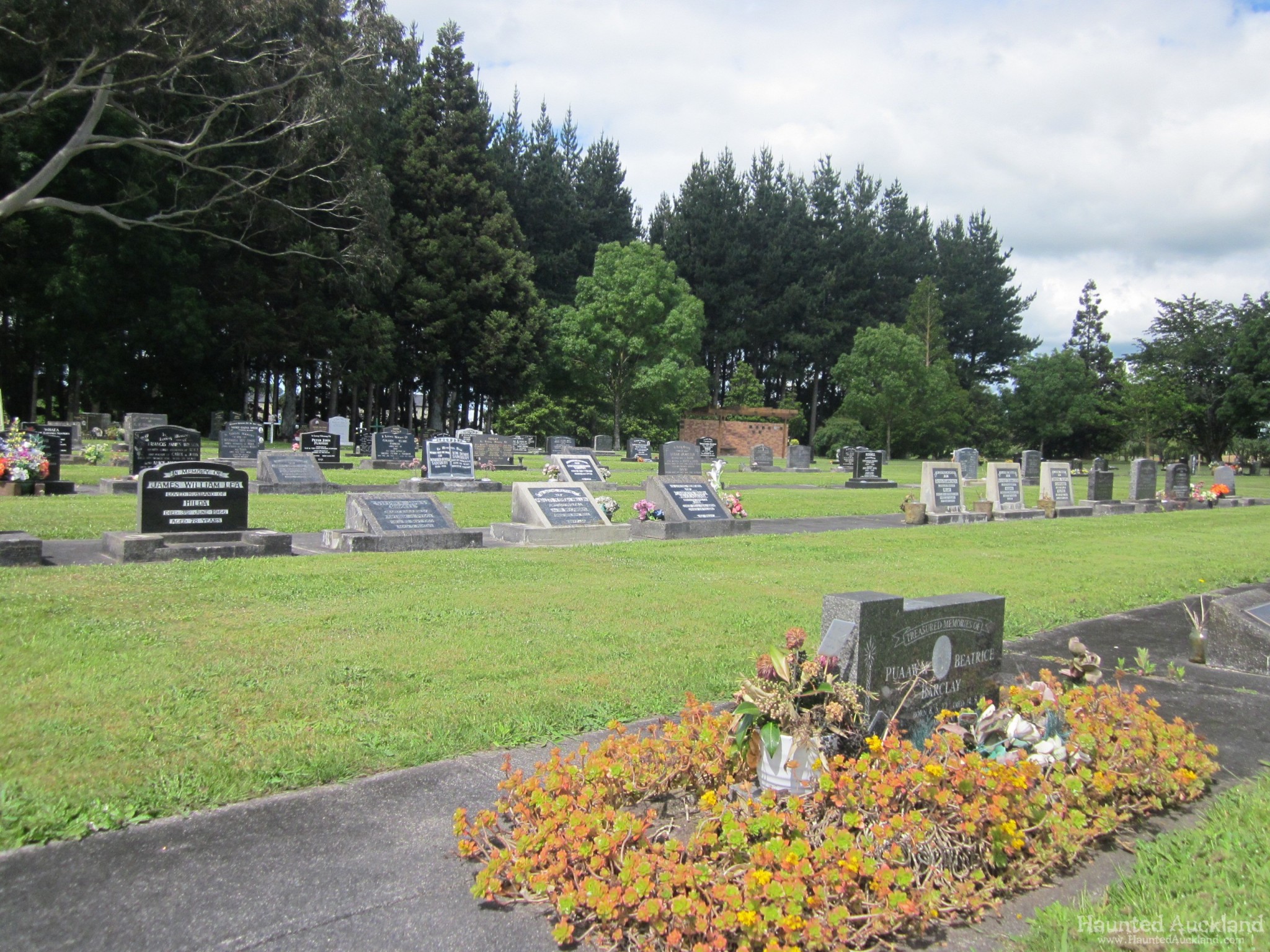 Gordonton Cemetery – Waikato