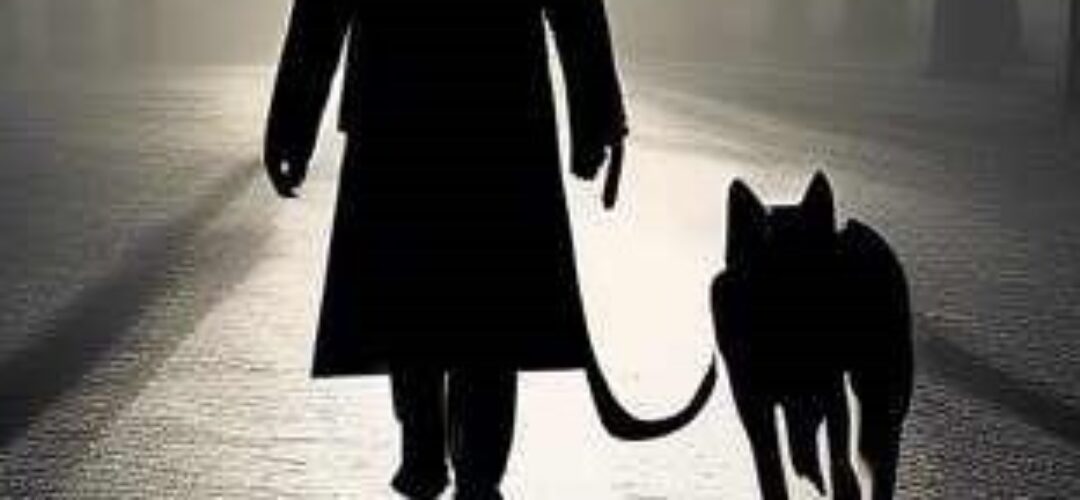 Ohope Beach Shadow dog walker