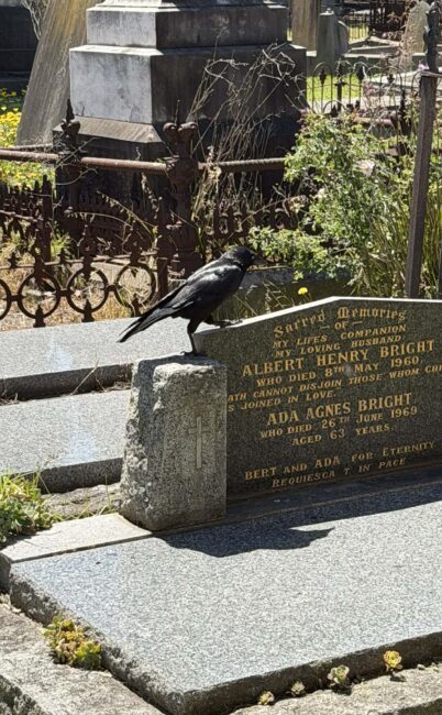 Melbourne General Cemetery – Melbourne, Australia