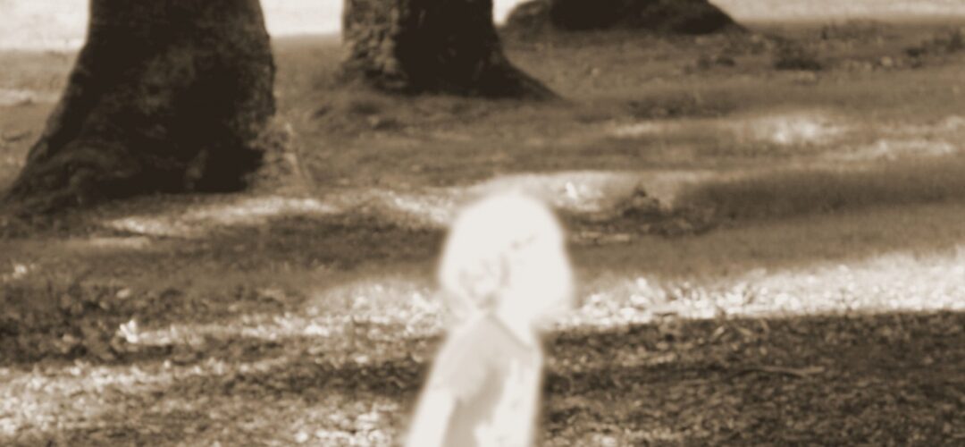 Do you want to meet my Mum?