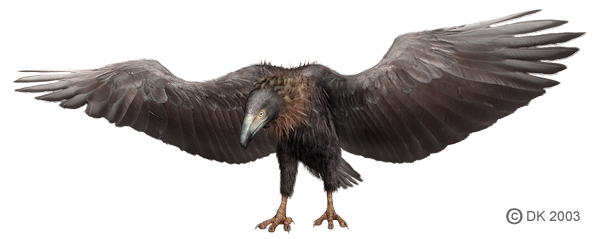 The Texas-sized ‘monster’ bird that created a huge flap back in 1975