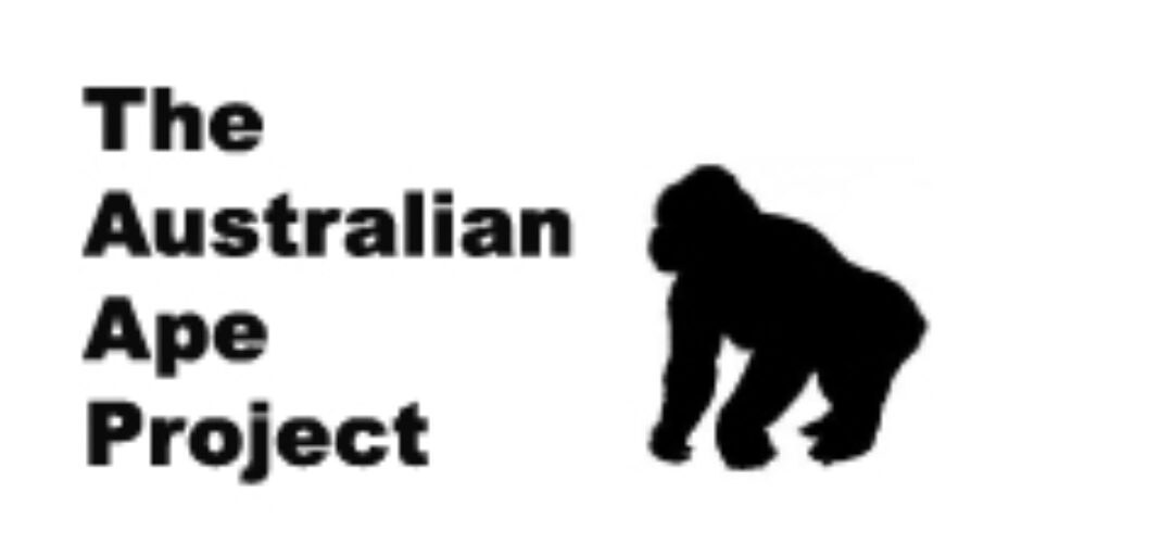 Dental Impressions from Feeding station – January 2014