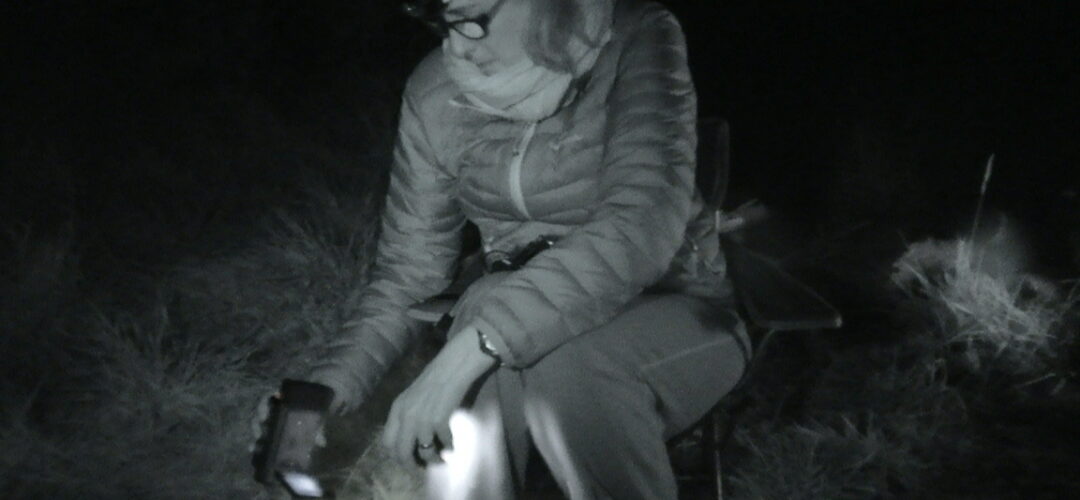 Lisa Ward: There are many theories as to what ghosts are, or might be. Which one makes the most sense to you at this stage?