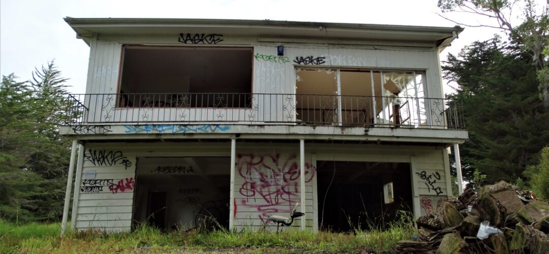 Stripped bare in nature – West Auckland