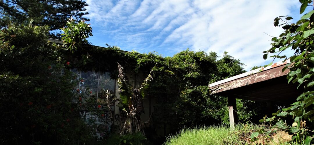 1950s Graffiti magnet – Auckland Central