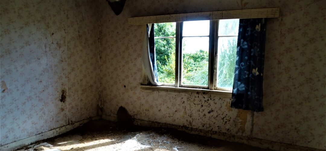 Home alone in Gordonton