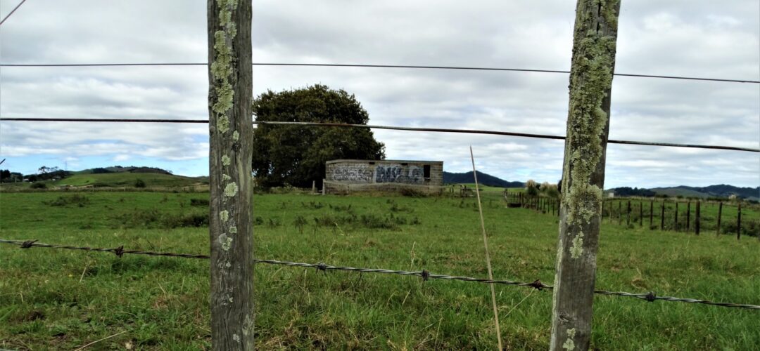 Derelict Milking Shed – Huntly