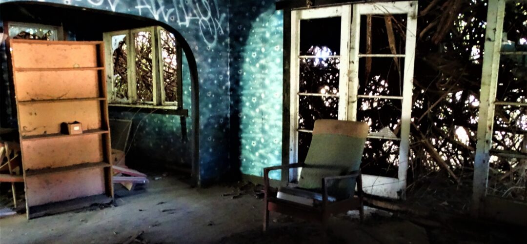 Back to Nature – Bombay Hills