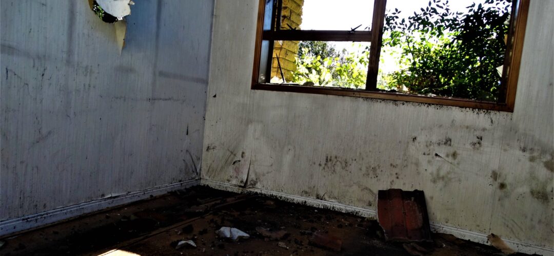 Down in Flames – South Auckland