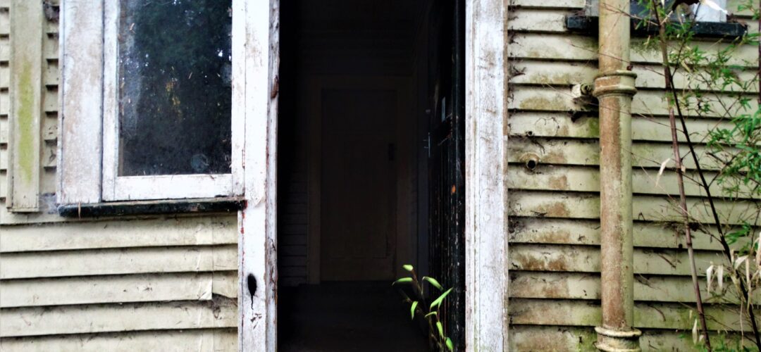 Hidden away in nature – South East Auckland