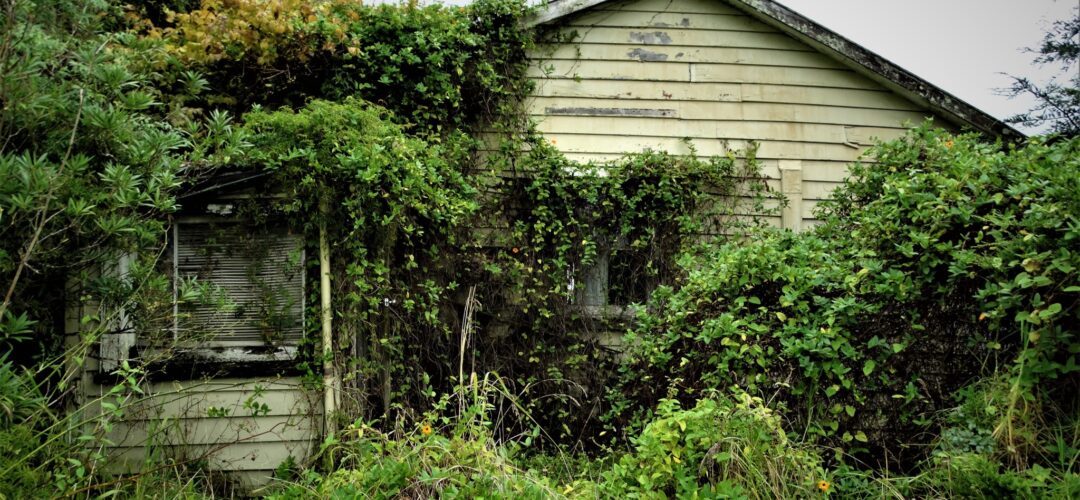 Classy car house – South East Auckland