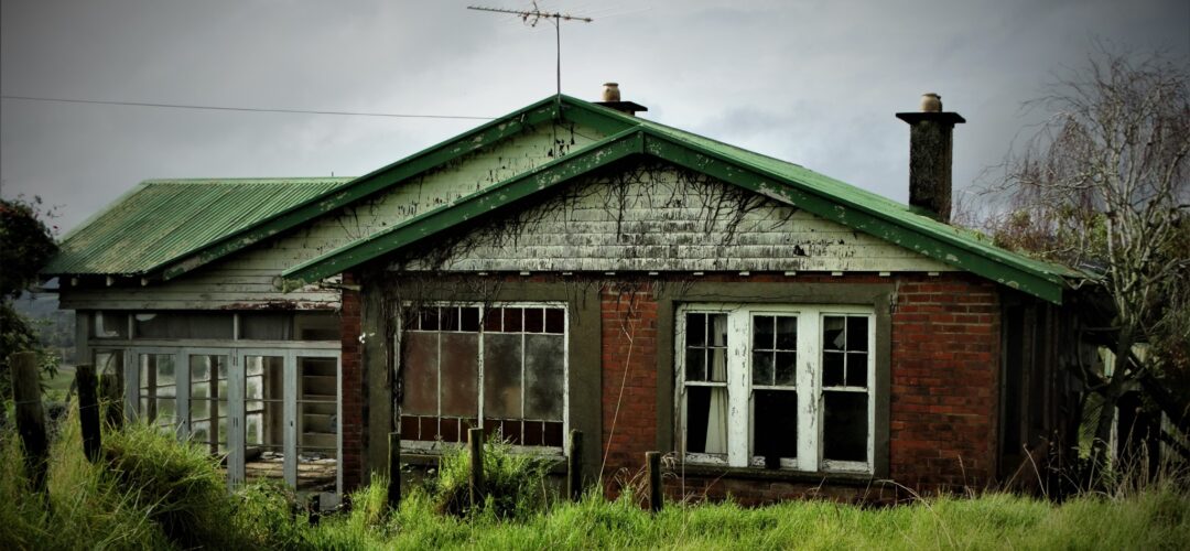 Where Art and Cattle commune – South Auckland