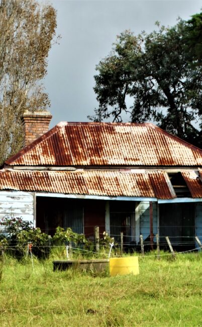 House with horses – South Auckland