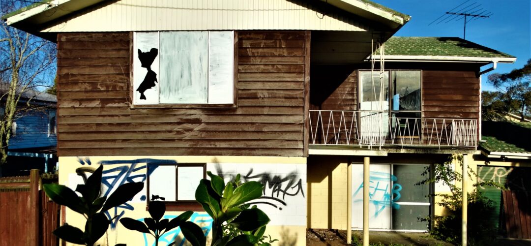 Suburban Vandal Magnet