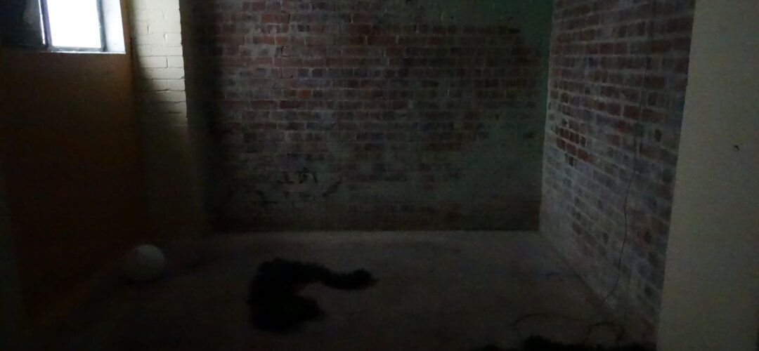 Dixon Street Basement – Wellington. Investigation with James Gilberd (Strange Occurrences)