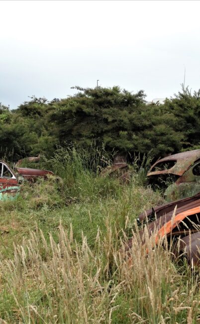 Car and tractor ‘graveyard’ – Auckland