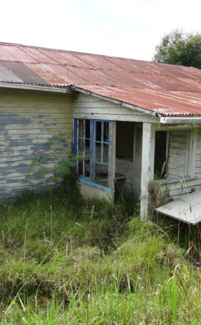 Abandoned farm house – North Shore, Auckland