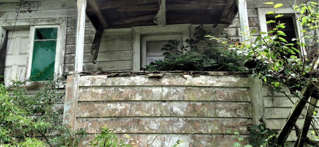 Abandoned Farmhouse – Auckland