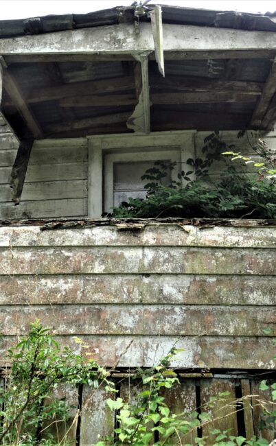 Abandoned Farmhouse – Auckland