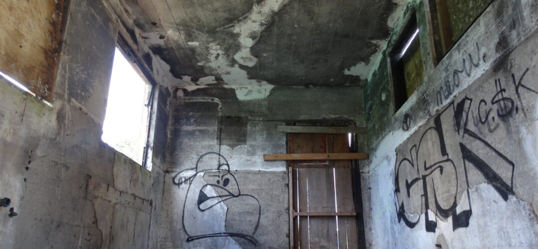 Old Engine testing bunker at Bomb Point, Hobsonville.