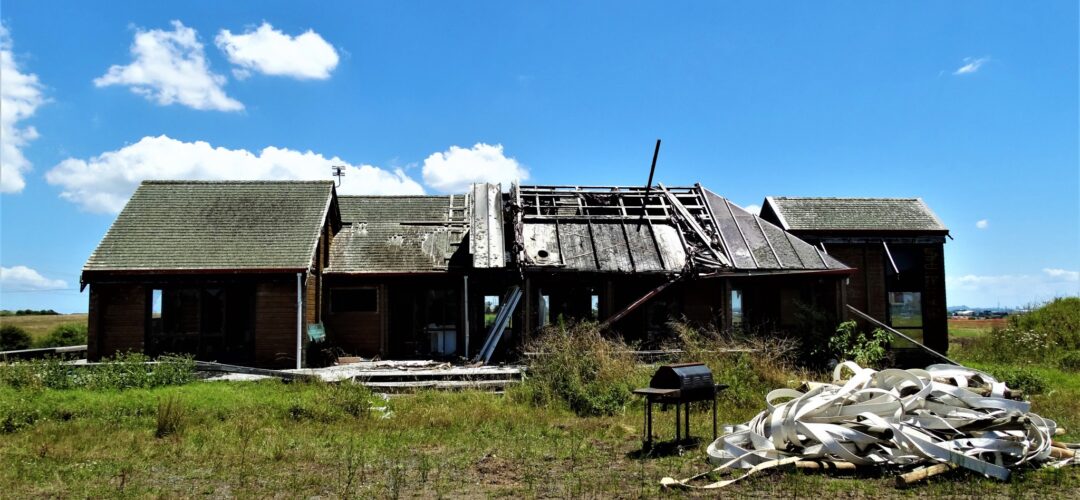 Last one standing – Howick, Auckland