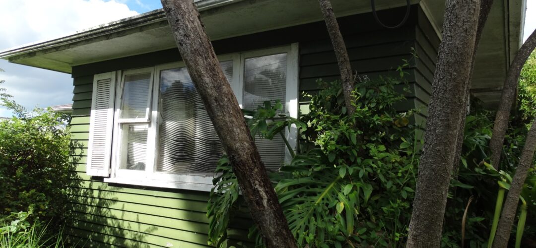 Abandoned house – Auckland