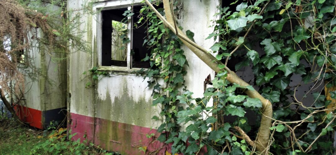 Workman’s sheds – West Auckland