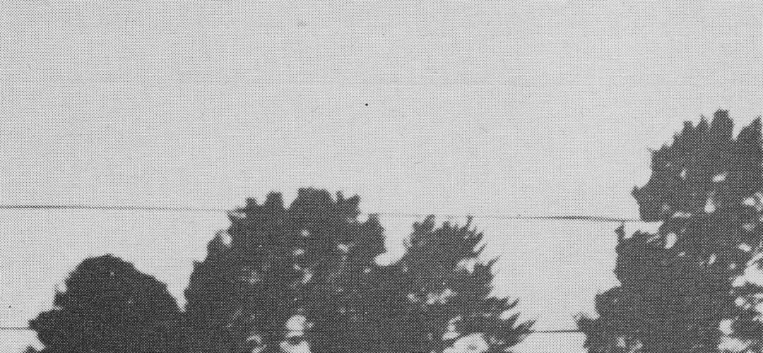 Files shine light on UFO sightings