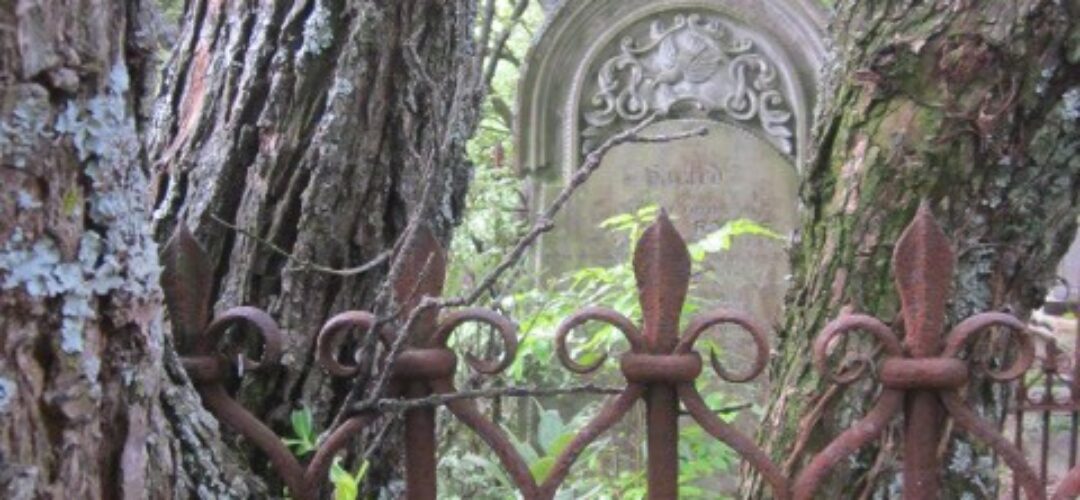 Symonds Street Cemetery – Auckland