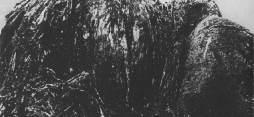 New Zealand Globster