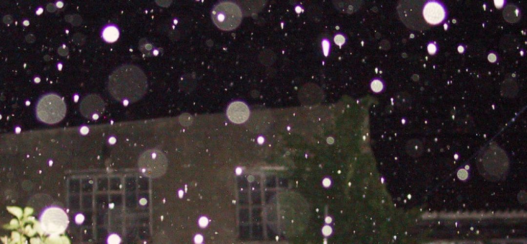 Orbs and Digital Photography