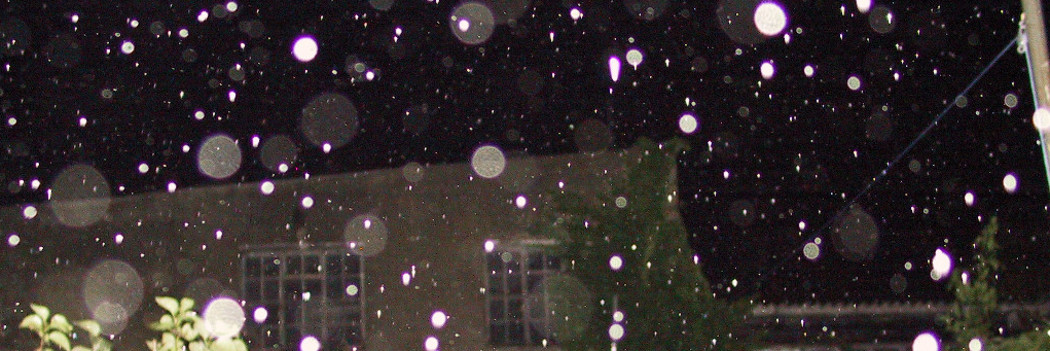 Orbs and Digital Photography