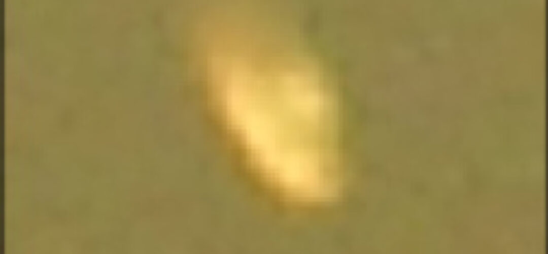 North a UFO hot spot [The Northern Advocate]