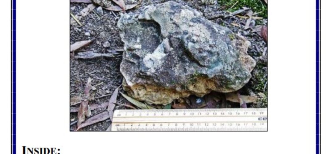 Mark Wallbank with Rex Gilroy [Article from Mysterious Australia Magazine – June 2016]